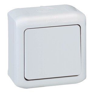 Forix Перемикач 1-клавішний IP44 10A Сірий 782383 фото