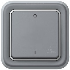 Plexo Двухполюсный выключатель Серый 10 A (069530) 069530 фото