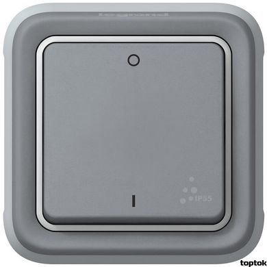 Plexo Двухполюсный выключатель Серый 10 A (069530) 069530 фото