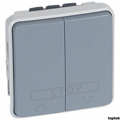Plexo Двухклавишный кнопочный выключатель для систем с электронным блоком управления Серый (069539) 069539 фото