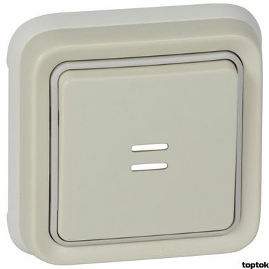 Plexo Кнопочный выключатель с подсветкой Н.О. + Н.З. контакты Серый 10 A (069861) 069861 фото